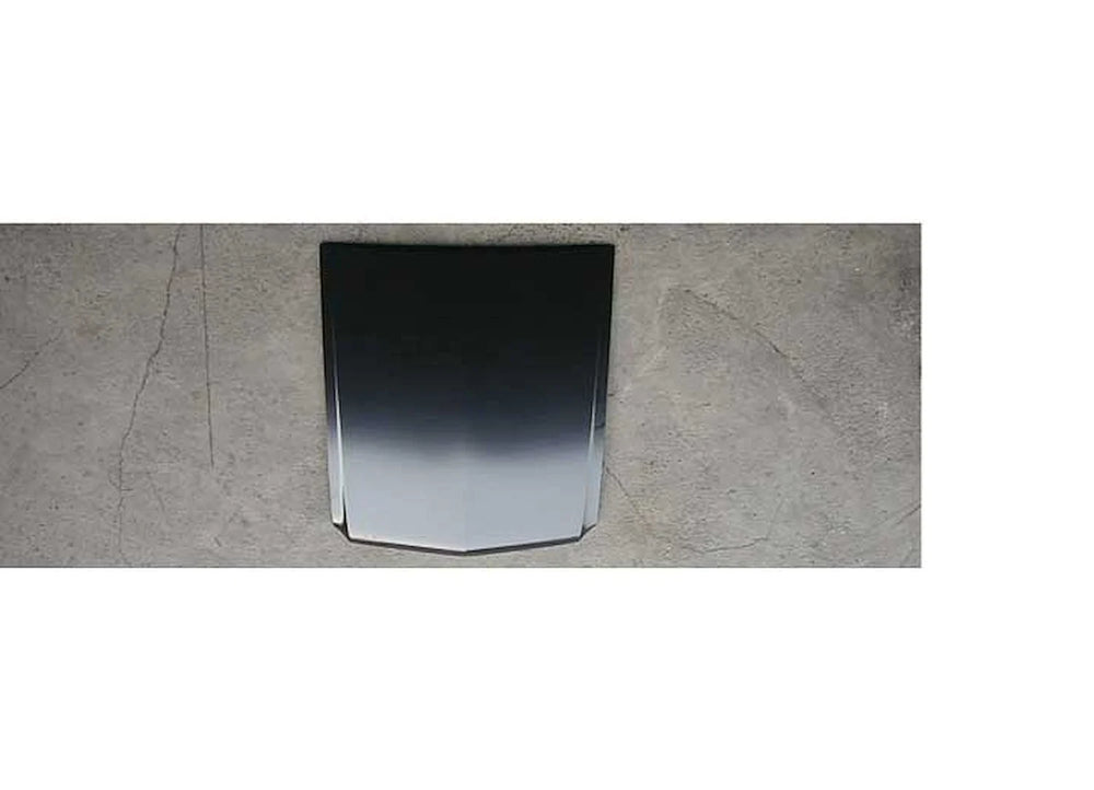 HOOD PANEL ASSY FORD MUSTANG 19641966