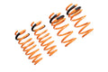 Megan Racing springs
