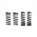 RSR Forged springs