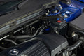 HPS Performance catch can detail