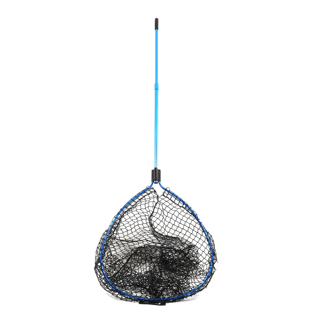 Clam Ice - 16357