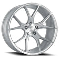Dolce - VELOCE-88554GSF