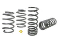COIL SPRINGS LOWERED FRONT/REAR PERFORMANCE KIT LOWERS VEHICLE 20MM 1520 SUBARU