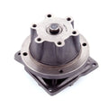 Gates Light Water Pumps