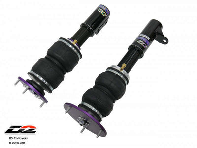 D2 Racing strut brace