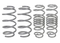 Whiteline springs detail