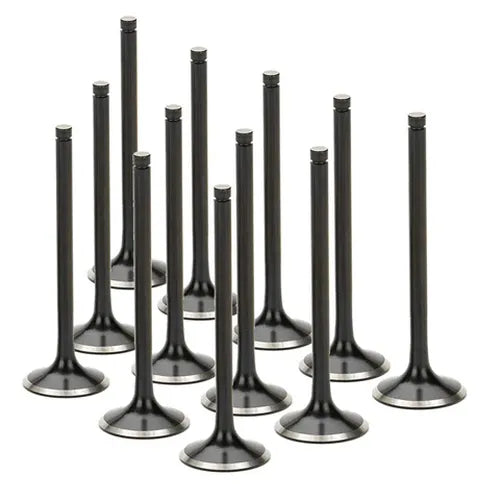 Supertech BMW M50/M52/S50/S52 Black Nitrided Exhaust Valve - Set of 12