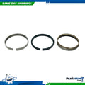 Engine Piston Ring Set 41909.010