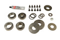 MASTER AXLE OVERHAUL BEARING KIT; DANA 30