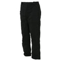 STD 2 LAYER PANT W/SLC LG BK