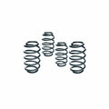Eibach springs