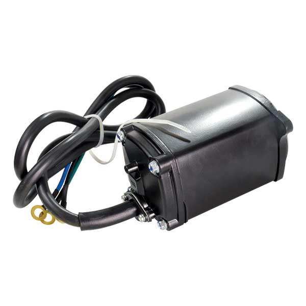 TRIM MOTOR
