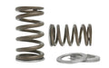 Kelford TOYOTA 2JZ-GTE RACING VALVE SPRING SET
