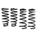 RS-R 98-05 Lexus GS300/400/430 (JZS160) Down Sus Springs