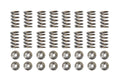 Brian Crower Mitsubishi 4B11T Evolution X Single Spring & Titanium Retainer Kit