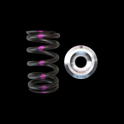 Brian Crower titanium springs