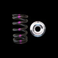 Brian Crower titanium springs