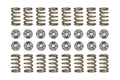 Manley 90-06 Mitsubishi 4G63-4G63T DSM / EVO DOHC 16 Valve Spring and Retainer Kit (w/o Valve Locks)