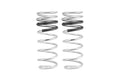 Eibach springs detail