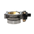 STANDARD IGN throttle body