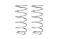 Eibach springs detail