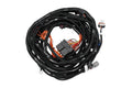 Ultimate Rebel LS 500HP EFI System w/Trans Cont