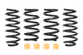 Eibach auto part
