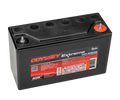 Odyssey Battery Powersport Extreme AGM Battery (PC950)