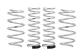 Eibach lift kit detail