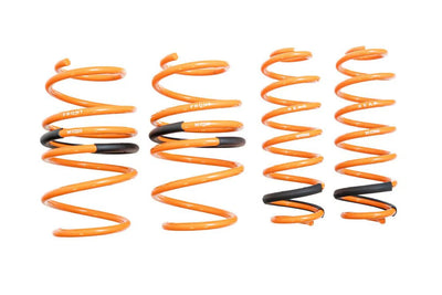 Megan Racing springs