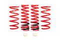 Eibach auto part detail