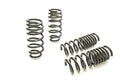 Eibach springs