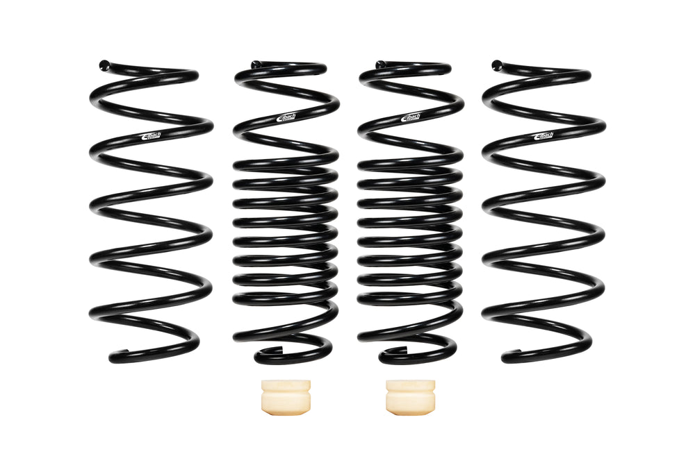 Eibach springs