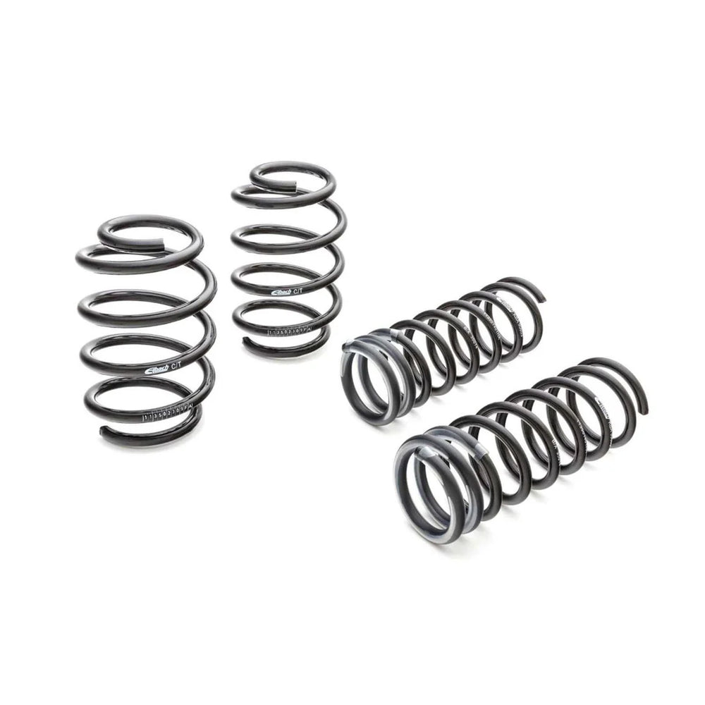 Eibach springs