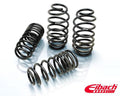 Eibach springs detail