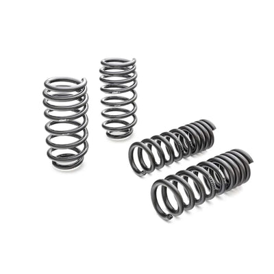 Eibach springs
