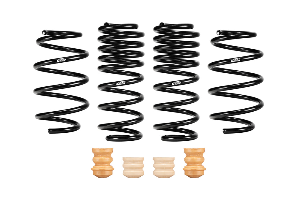 Eibach black springs