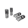 Eibach springs