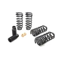 Eibach springs