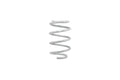Eibach springs close-up