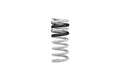 Eibach springs