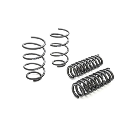 Eibach springs