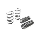 Eibach springs