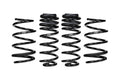 Eibach springs close-up