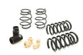 Eibach springs