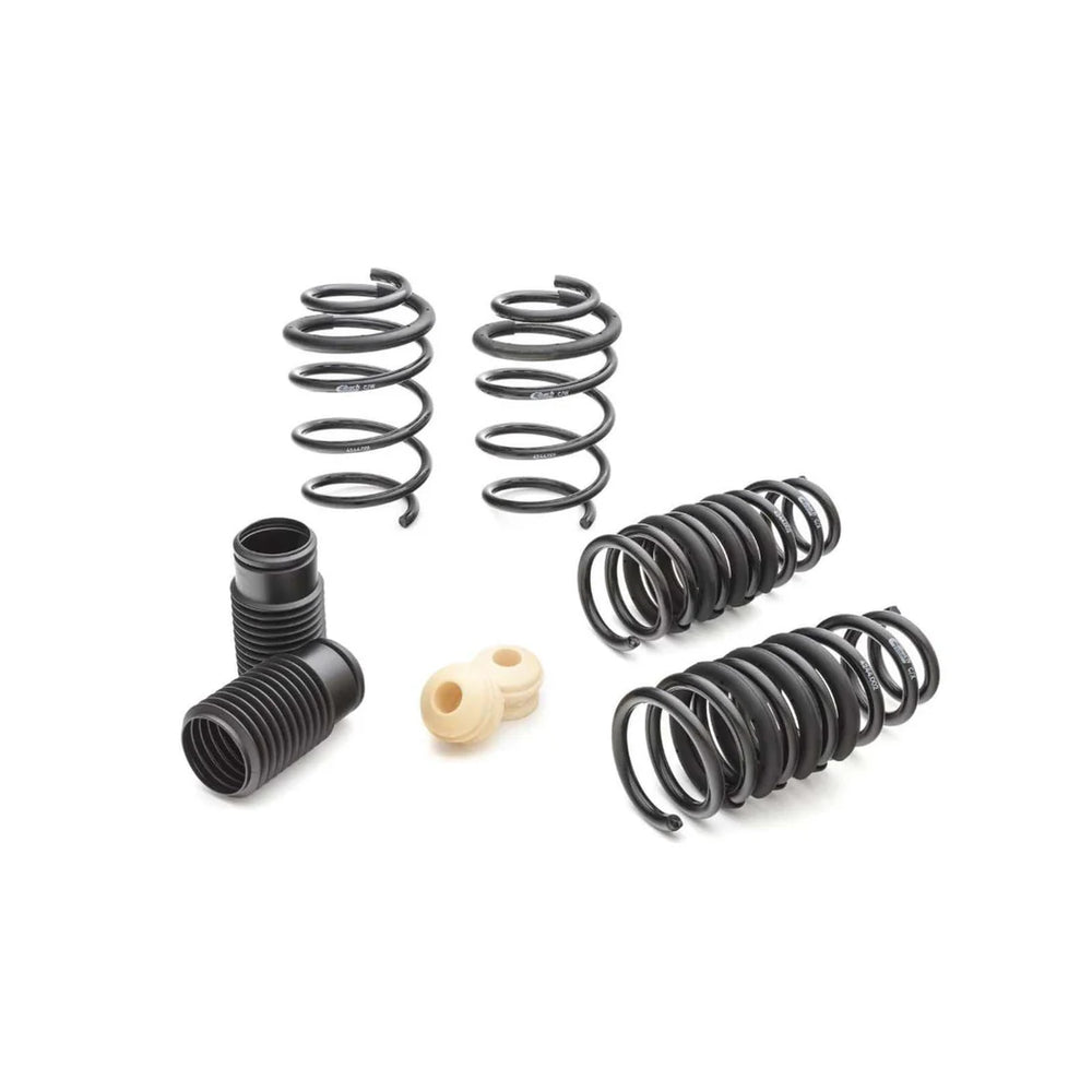 Eibach springs