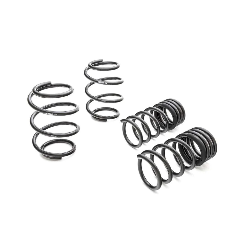 Eibach springs
