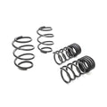 Eibach springs