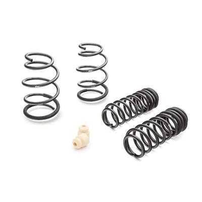 Eibach springs