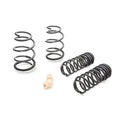Eibach springs